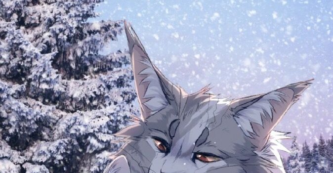 674x1200 Warriors Cat Wallpapers - Top Free Warriors Cat Backgrounds -  WallpaperAccess