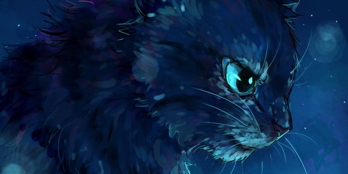 794x1006 Free download Warrior Cats Wallpaper Jayfeather Jayfeather by heyfresco  [794x1006] for your Desktop, Mobile & Tablet | Explore 50+ Warriors Cats  Wallpapers | Golden State Warriors Wallpaper,