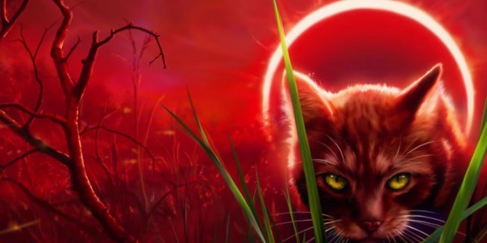 1920x1080 Eclipse Sol | Warrior cats, Warrior cat drawings, Warrior cats art