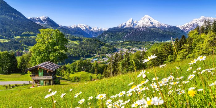 2560x1440 Wallpaper Alps, 5k, 4k wallpaper, Germany, Meadows, mountains, grass,  daisies, Nature #5524