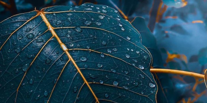 1080x1334 Elegant Phone Wallpapers - Top Free Elegant Phone Backgrounds -  WallpaperAccess