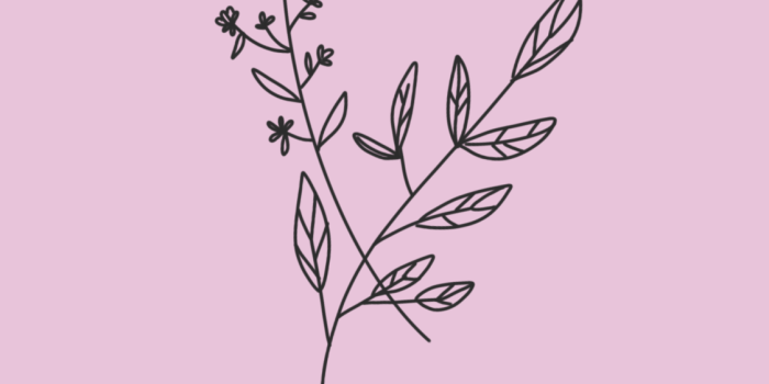 1125x2436 Classy Phone Wallpaper posted by Michelle Tremblay