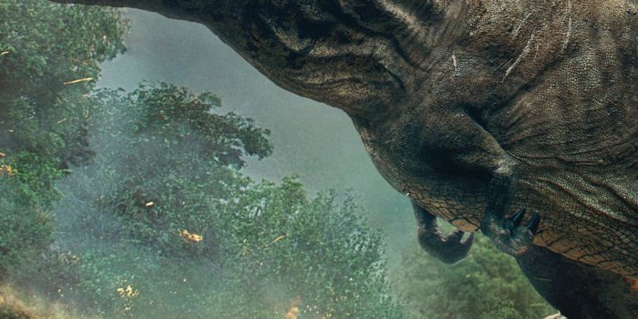 1080x2220 Dinosaur Wallpaper for mobile phone, tablet, desktop computer and other  devices HD and 4K wallpapers… | Dinosaur wallpaper, Jurassic world wallpaper,  Jurassic world