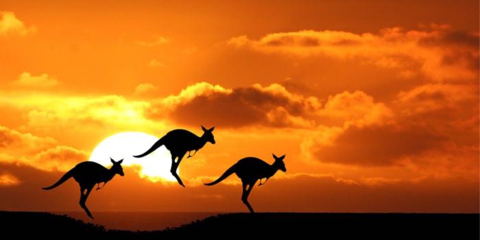 1600x1000 45+] Free Australian Wallpaper on WallpaperSafari