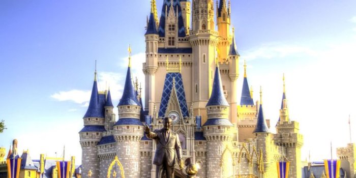 736x1104 Disney World Wallpapers - Top Free Disney World Backgrounds -  WallpaperAccess | Disneyland castle, Disney castle, Disney princess  wallpaper