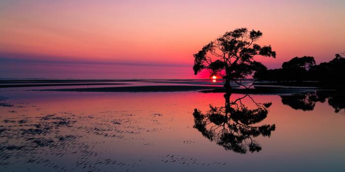 1920x1200 Daily Wallpaper: Nudgee Beach, Australia | I Like To Waste My Time
