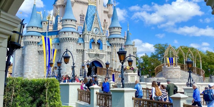 1000x1333 500+ Disney World Pictures | Download Free Images on Unsplash