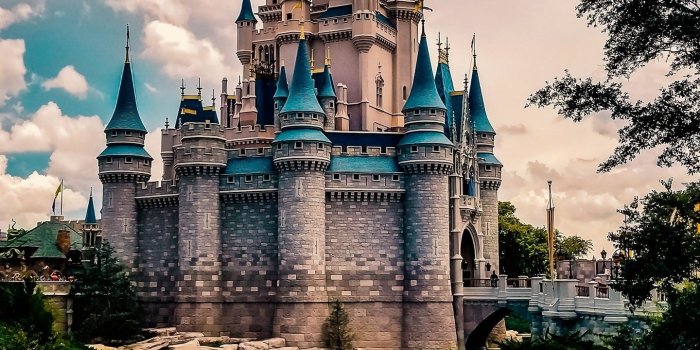 1440x2560 Man Made Disney World