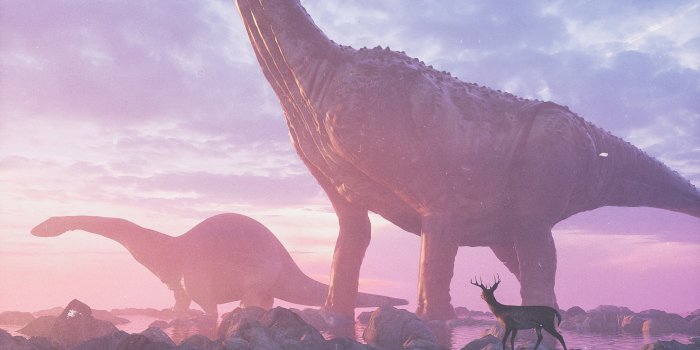 3840x2160 2560x1700 Life Before Dinosaur Reindeer 4k Chromebook Pixel HD 4k Wallpapers,  Images, Backgrounds, Photos and Pictures