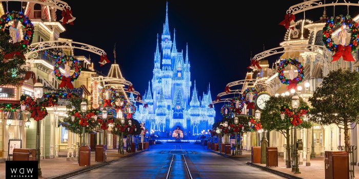 1920x1080 Download These FREE Christmas Disney World Zoom Backgrounds