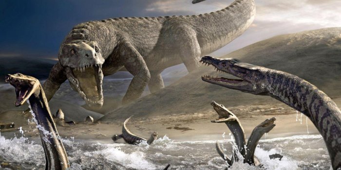 1920x1080 Different Kinds Of Dinosaurs HD Dinosaur Wallpapers | HD Wallpapers | ID  #57329