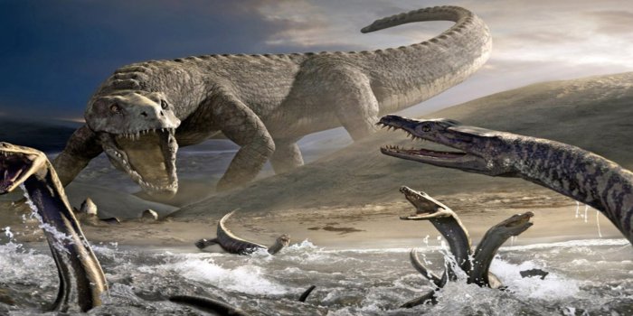 1920x1200 Dinosaurs Wallpapers Free Download 1437 : Wallpapers13.com