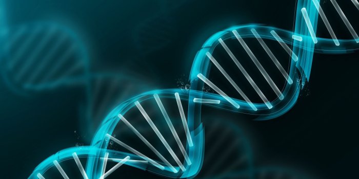 3840x2160 Biology 4K Wallpapers - Top Free Biology 4K Backgrounds - WallpaperAccess