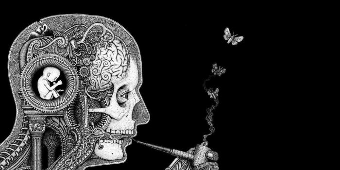 1440x900 Biology Art Wallpapers - Top Free Biology Art Backgrounds - WallpaperAccess