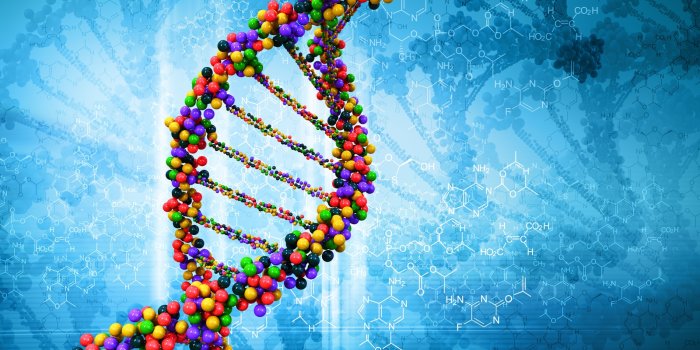 1600x1200 Biology Background for Desktop - PixelsTalk.Net