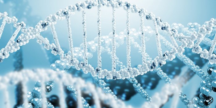 1920x1080 HD Biology Wallpaper - PixelsTalk.Net