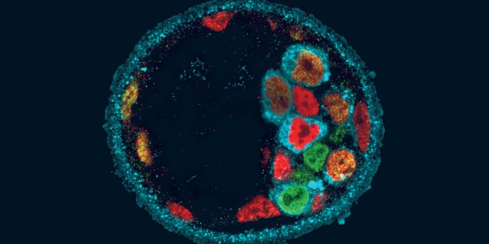 1920x1200 Molecular Biology Wallpapers - Top Free Molecular Biology Backgrounds -  WallpaperAccess