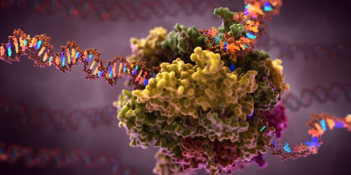 1920x1080 biology wallpaper - Recherche Google | Rna polymerase, Biology,  Transcription