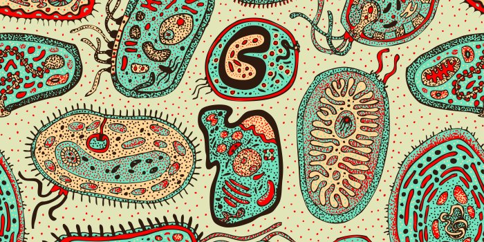 5611x5611 Biology Phone Wallpapers - Top Free Biology Phone Backgrounds -  WallpaperAccess