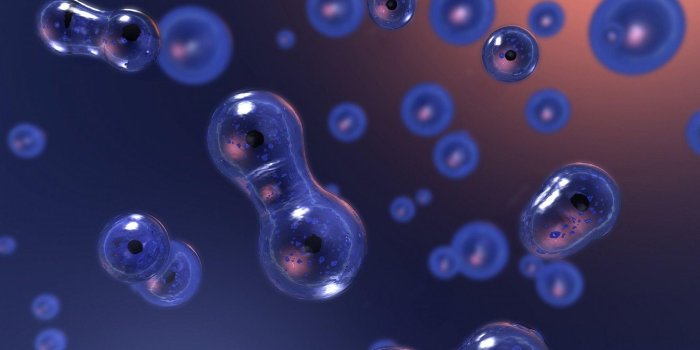 1920x1080 Bio Wallpapers