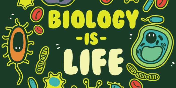 1000x1000 Cute Biology Wallpapers - Top Free Cute Biology Backgrounds -  WallpaperAccess