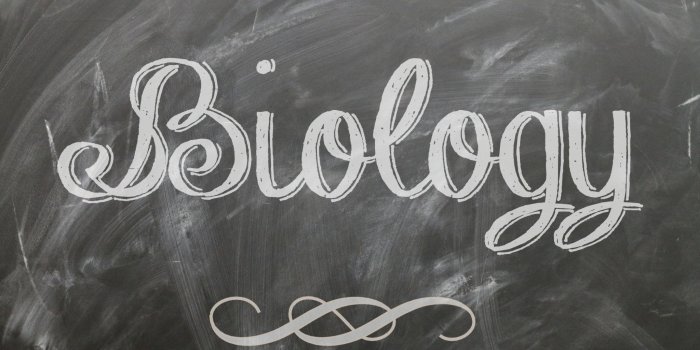 2048x1152 860114-biology-wallpapers-2048×1152-for-mac | Dyah's SEA Teacher Story