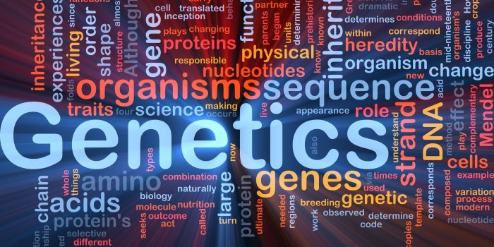 3000x1915 abstract #abstraction #Biology #Chemistry #detail #genetics #Medical  #Medicine #psychedelic #science #2K #wallpaper #hdwallp… | Biology,  Chemistry, Science biology