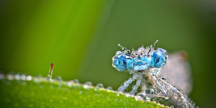 2560x1440 Beautiful Biology Wallpapers - Top Free Beautiful Biology Backgrounds -  WallpaperAccess