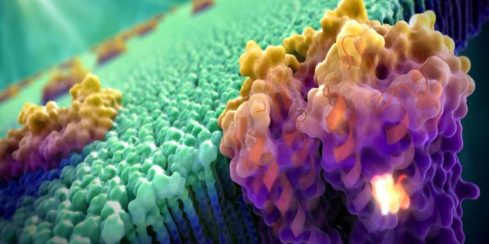 2800x2100 Cell Biology Wallpapers