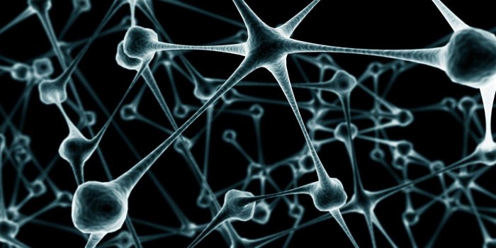 1920x1080 Biology HD Wallpapers - Top Free Biology HD Backgrounds - WallpaperAccess