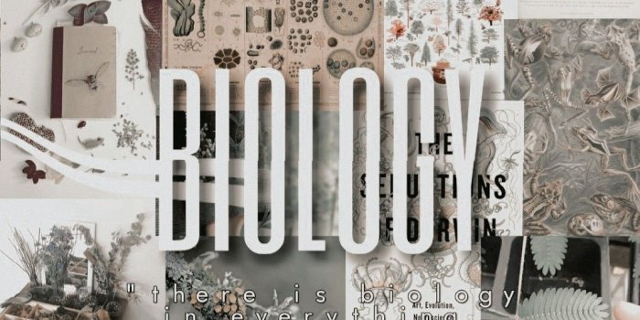 1080x1915 Lockscreen Biology Nature Wallpaper Edit Science | Biology art, Medical  wallpaper, Biology drawing