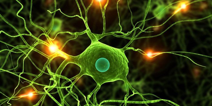 1440x899 biology-hd-wallpaper-Optimized - This Is Trouble