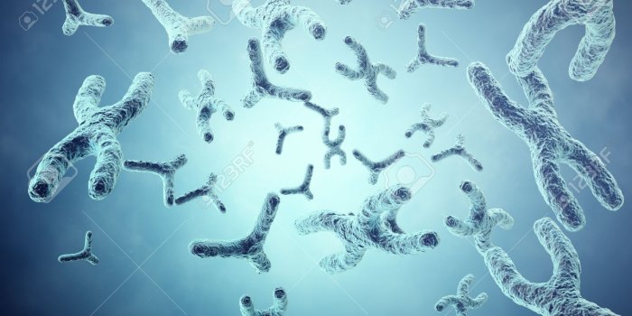 1300x866 Free download XY chromosomes On Grey Background Scientific And Biology  Concept [1300x866] for your Desktop, Mobile & Tablet | Explore 42+  Background Biology | Biology Wallpapers, Background Biology, Biology  Wallpaper Background