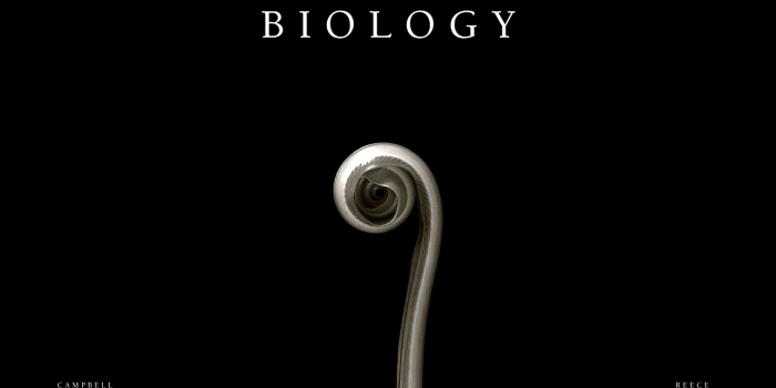 1920x1200 Karen Davis on artistic sense | Kutipan tentang kehidupan