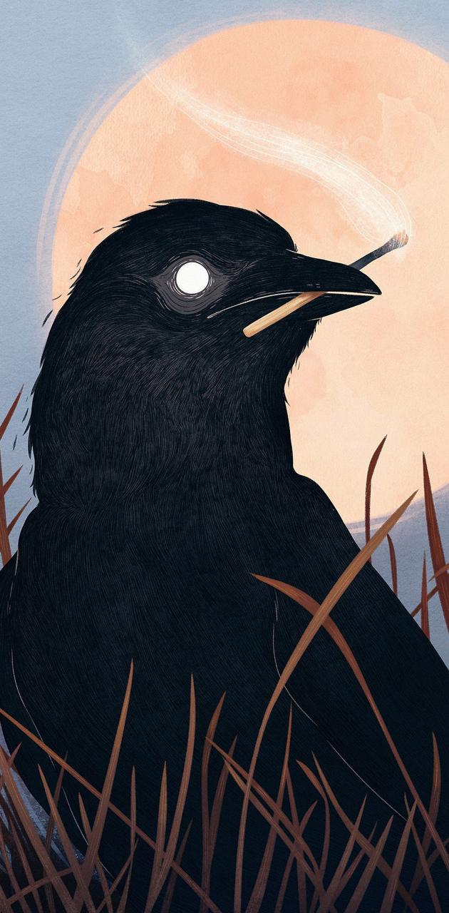 630x1280 Crow wallpaper by realelnath - Download on ZEDGE™ | a4fb