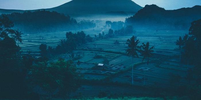 750x1334 5 Easy Wallpaper Ideas for Your Phone | Instasize