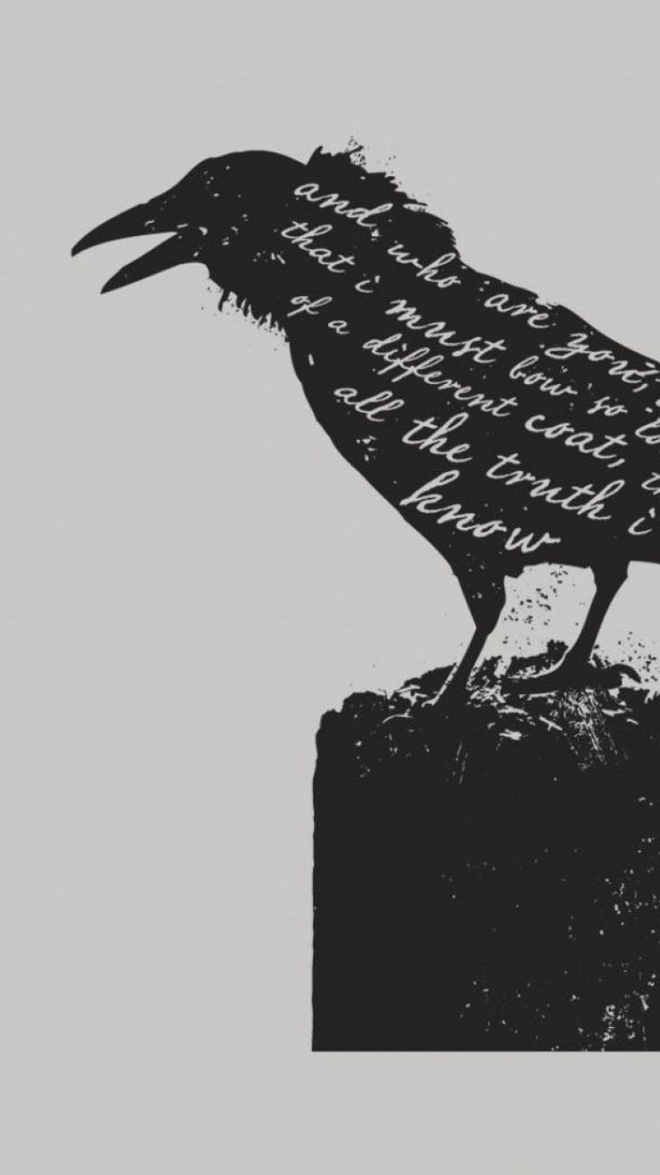 736x1309 3D Crow Wallpapers - Top Free 3D Crow Backgrounds - WallpaperAccess | Crow, Wallpaper  backgrounds, Hd wallpaper