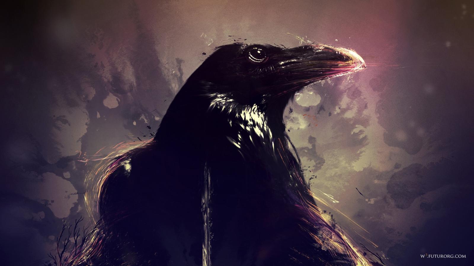 1920x1080 60+ Crow HD Wallpapers and Backgrounds