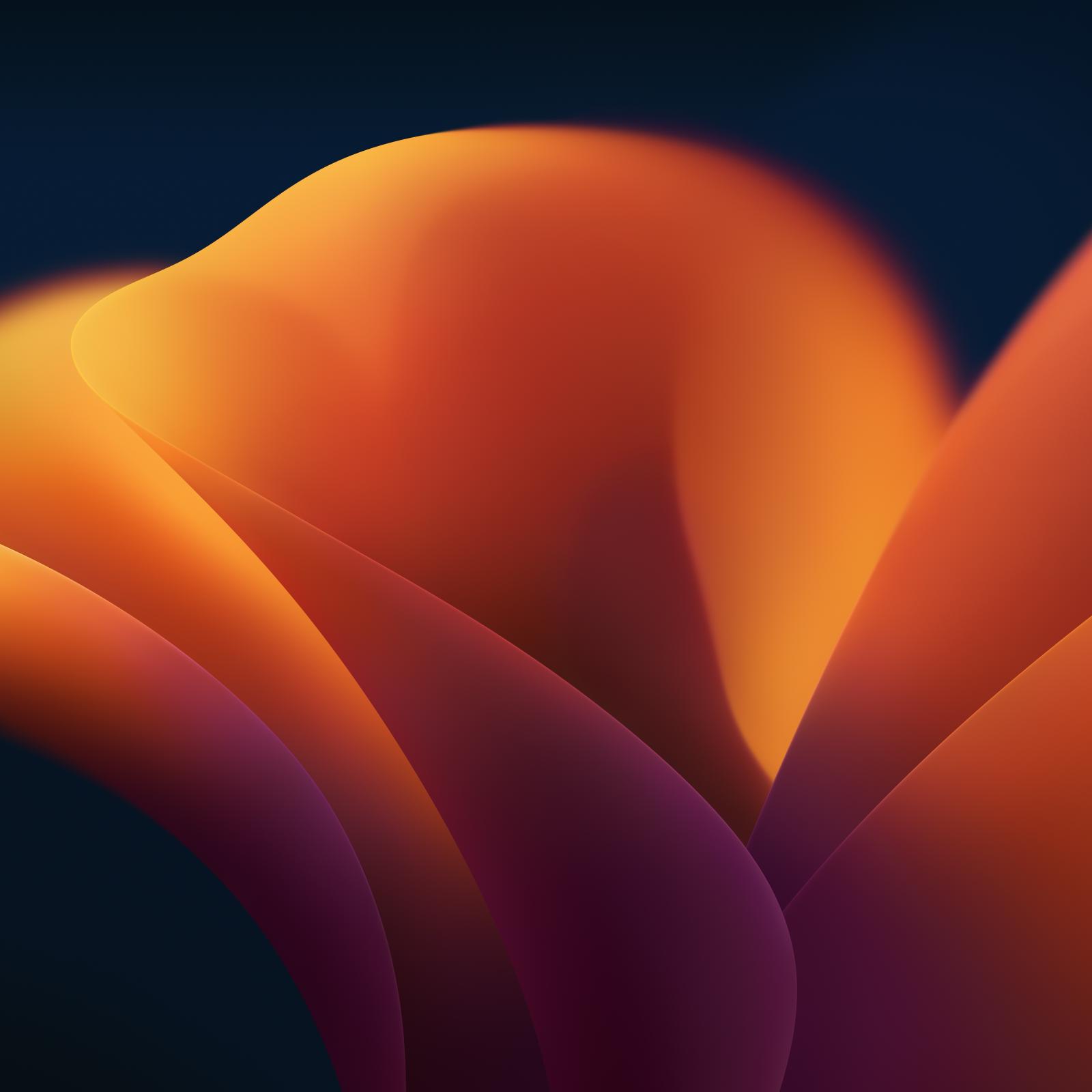 6016x6016 Every Default macOS Wallpaper – in Glorious 6K Resolution – 512 Pixels