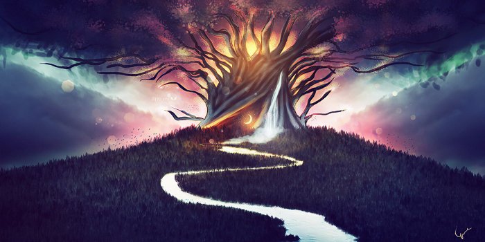 2048x1152 2048x1152 Spiritual Prayer Tree 2048x1152 Resolution HD 4k Wallpapers,  Images, Backgrounds, Photos and Pictures