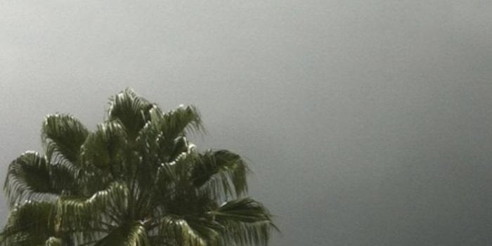 750x1334 A couple of $uicideboy$ phone wallpapers. : r/G59