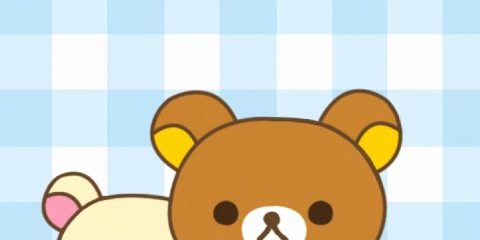 1280x1920 Hakucat Shop | Redbubble | Rilakkuma wallpaper, Kawaii background, Rilakkuma