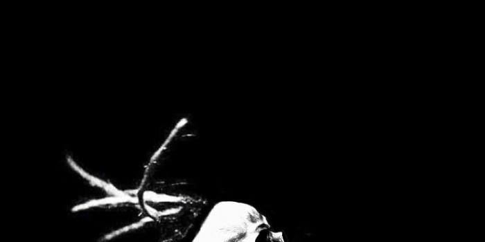 736x1308 Pin on Suicideboys Wallpapers