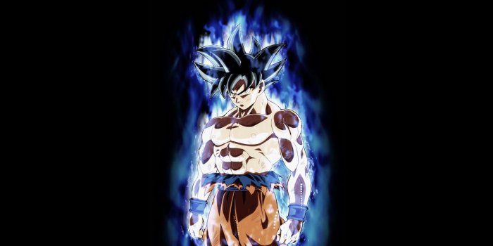 1920x1080 Goku Ultra Instinct Wallpapers 2020 - Broken Panda