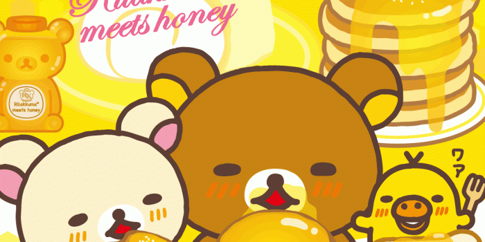 1024x768 Rilakkuma Wallpapers - Rilakkuma Wallpaper (29396986) - Fanpop