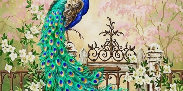 1000x800 Beibehang Custom large wallpaper Peacock European oil painting modern home  decoration wallpaper for walls 3 d papel de parede|wallpaper for  walls|large wallpaperswallpaper peacock - AliExpress