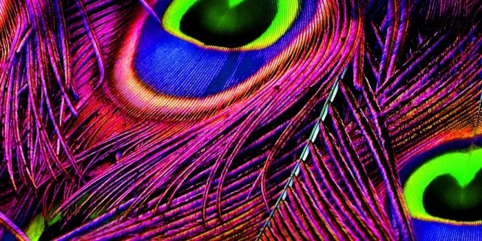 1440x2630 Free hd wallpapers for desktop, ipad, tablets, iphone, android phone