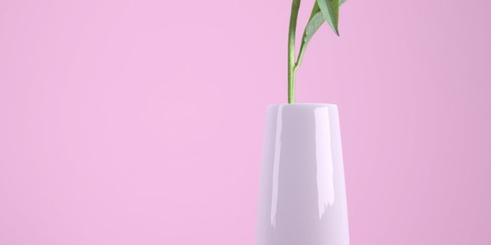 1536x2048 Pink flower Wallpaper 4K, Flower vase, Baby pink, Pink background, Flowers,  #894