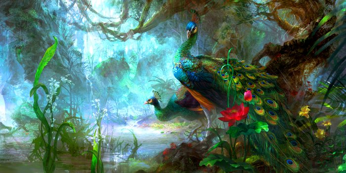 2560x1600 140+ Peacock HD Wallpapers and Backgrounds