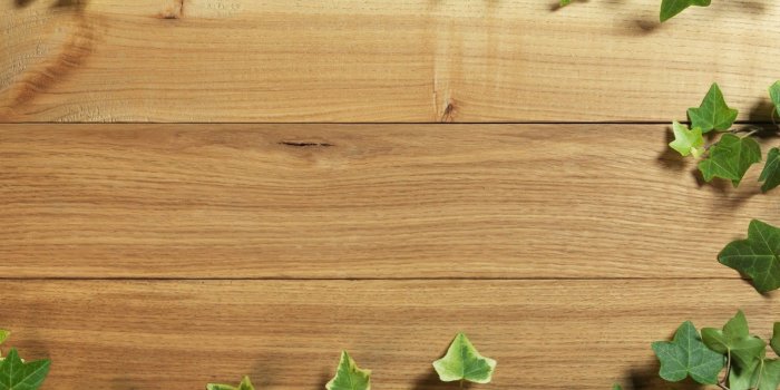 1920x1080 Wooden Table Wallpapers - Top Free Wooden Table Backgrounds -  WallpaperAccess